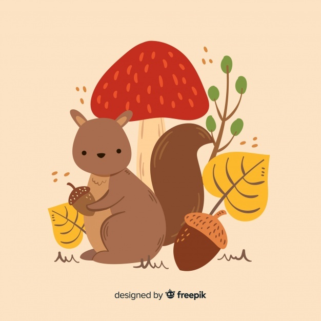 626x626 Acorn Vectors, Photos And Psd Files Free Download