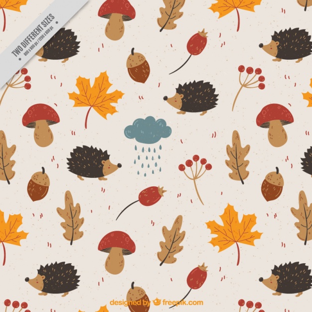 626x626 Vintage Background With Hedgehogs And Acorns Vector Free Download