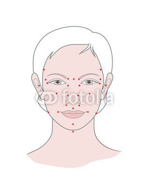 306x400 Shiatsu Points Face Massage, Acupuncture. Vector. Isolated On