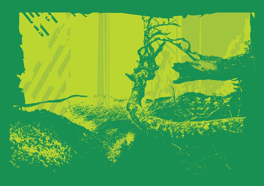 850x600 Forest Background Vector Art Amp Graphics