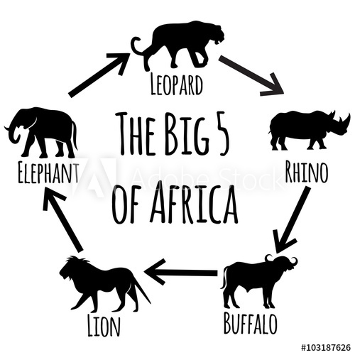 500x500 The Big Five Of Africa