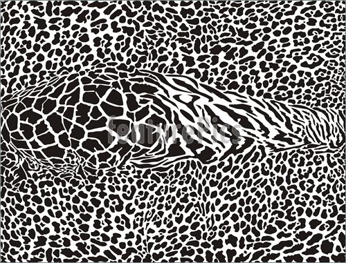 500x381 African Animal Pattern Print Background