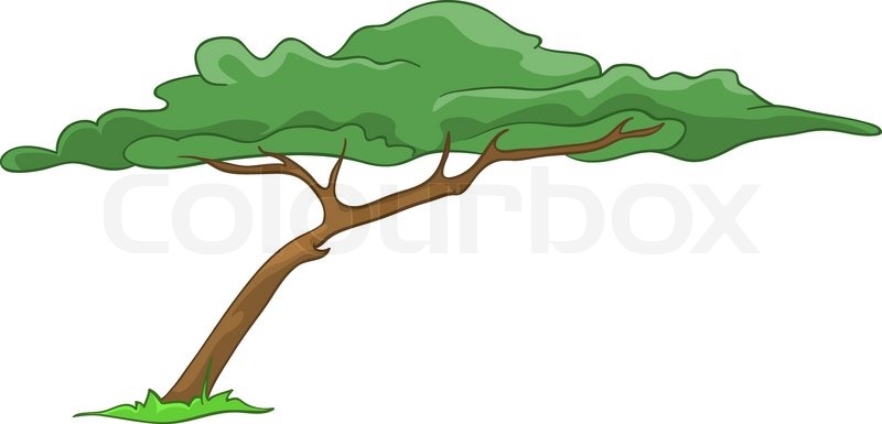 800x385 Cartoon Illustration Tree Isolated On White Background Stock