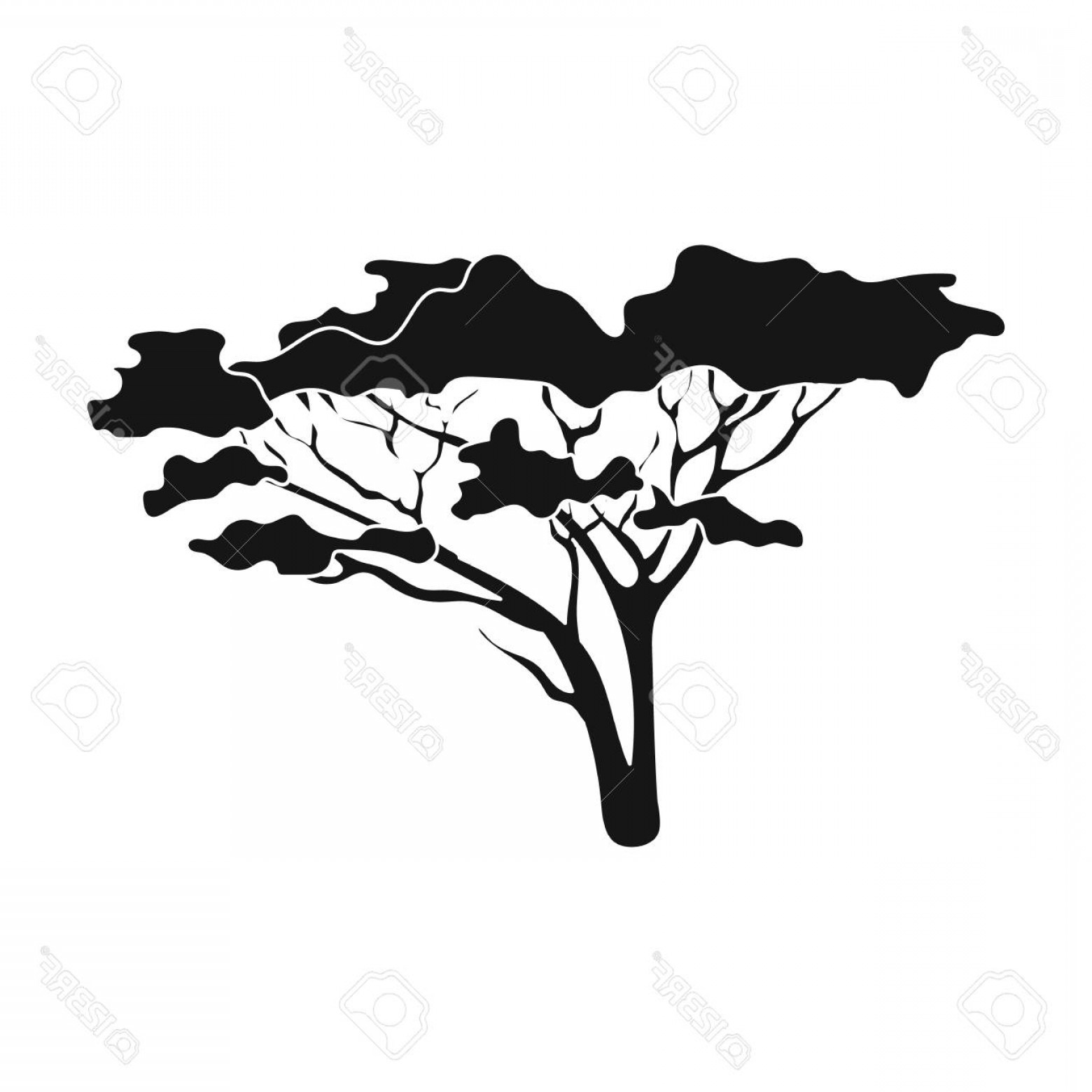 1560x1560 Photostock Vector Tree In The Savannah African Safari Single Icon