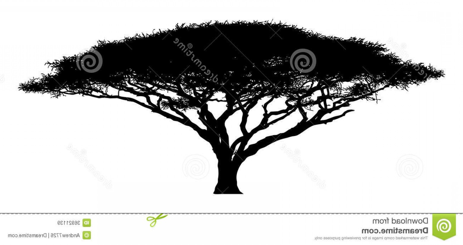 1560x828 Royalty Free Stock Images Silhouette Tree Acacia Wood African