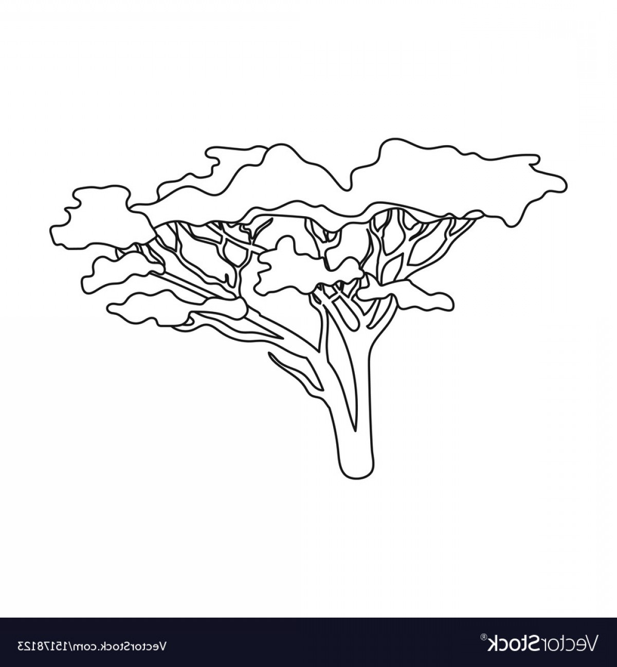 African Tree Vector at GetDrawings | Free download