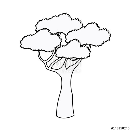 500x500 African Tree High Plant Natural Botanical Outline Vector