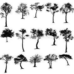 236x236 Sun Set And African Animal Silhoute Art By Kids Vector Of A