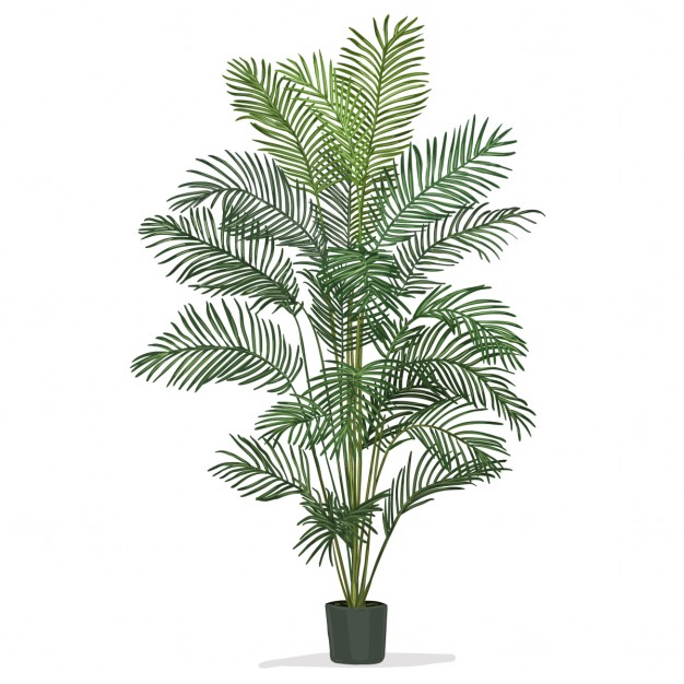 626x626 Agave Plants Vectors, Photos And Psd Files Free Download