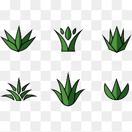 260x261 Agave Png, Vectors, Psd, And Clipart For Free Download Pngtree