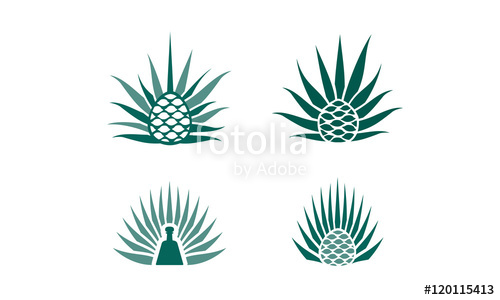 500x300 Agave Plant Logo Stock Image And Royalty Free Vector Files On