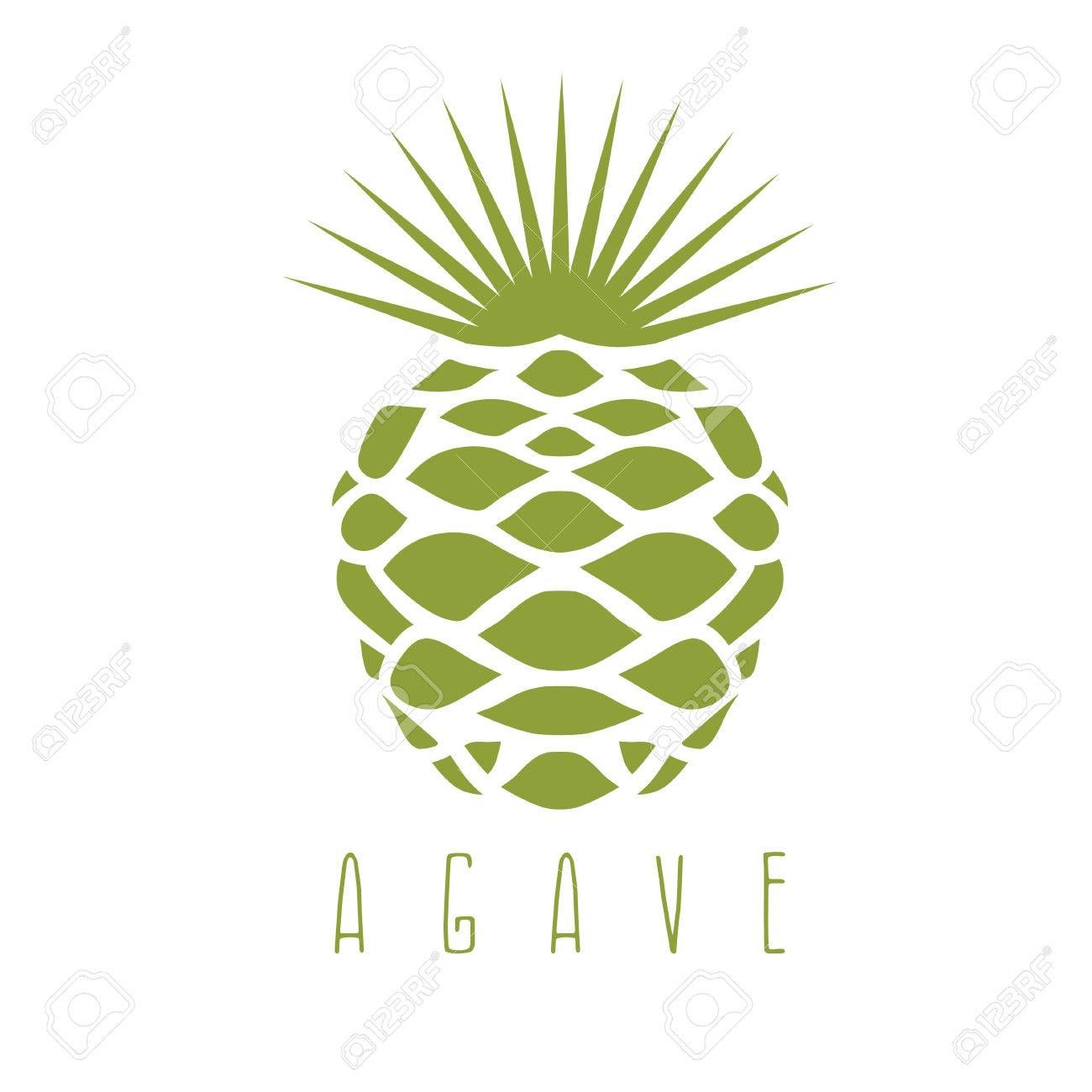 1300x1300 Vector Design Template Of The Agave Plant Stock Vector