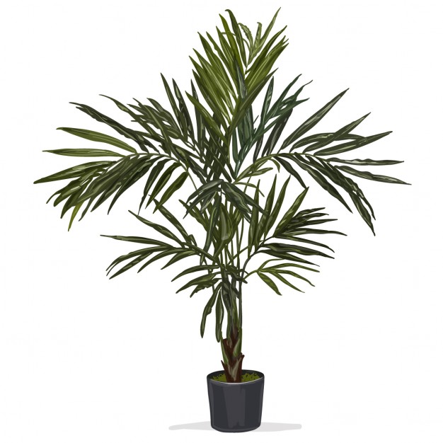 626x626 Agave Vectors, Photos And Psd Files Free Download