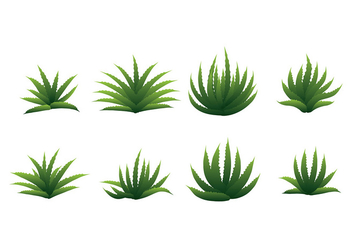 The best free Maguey vector images. Download from 11 free vectors of ...