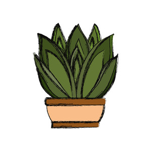 300x300 Blue Agave Royalty Free Vectors