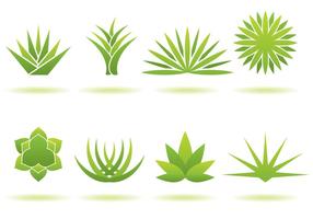 286x200 Agave Free Vector Art