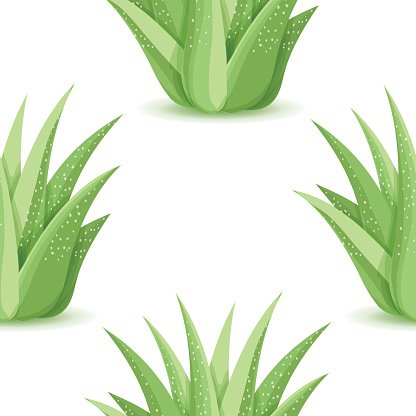 416x416 Agave Vector Seamless Pattern Stock Vectors
