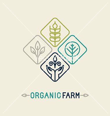 380x400 Agriculture And Organic Farm Line Logo Vector By Venimo On