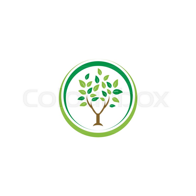 800x800 Elegant Circle Tree Leaf Agriculture Logo Design Template Vector