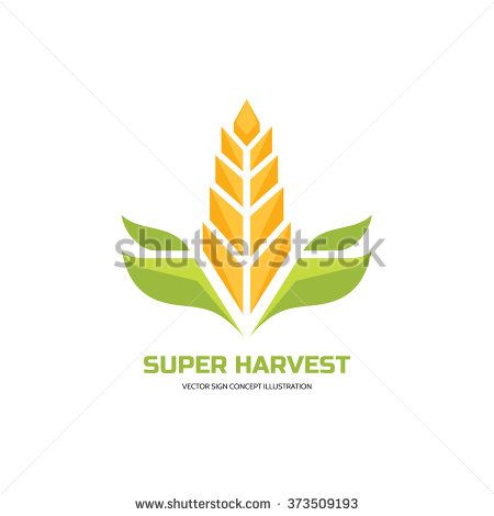 450x470 Super Harvest
