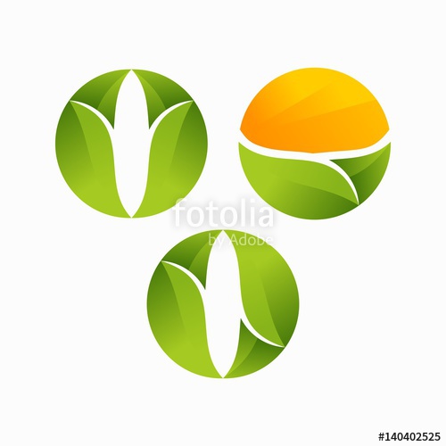 500x500 Modern O Initial Leaf, Agriculture Logo Vector Illustration Set