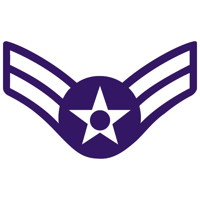 660x660 Airman 1st Class Vector Insignia