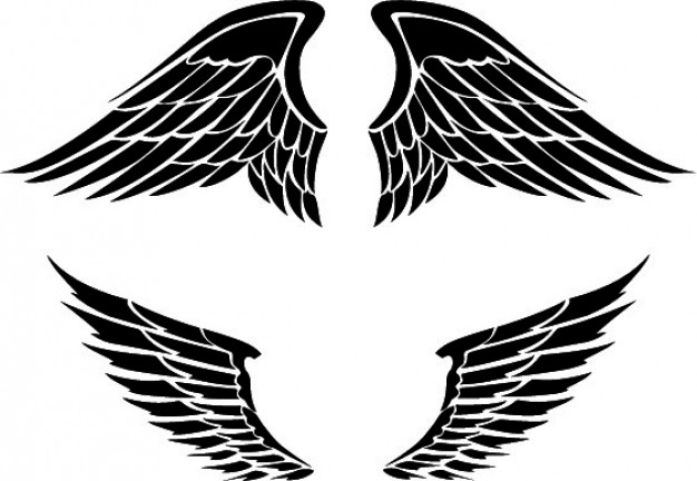 626x432 Set Of Two Wings Designs Vector Free Download