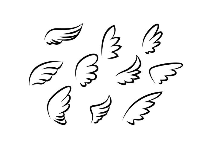 700x490 Wings Collection Line Vector