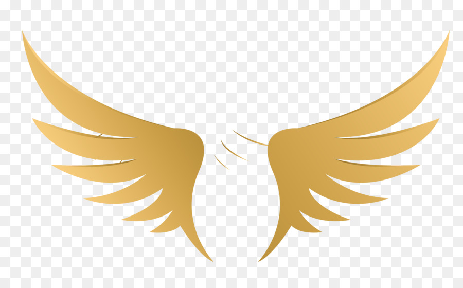 900x560 Yellow Illustration