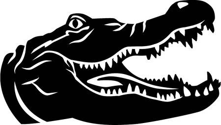 The best free Alligator vector images. Download from 76 free vectors of ...