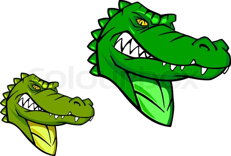 800x539 Green Wild Alligator Stock Vector Colourbox