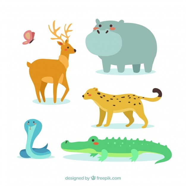 626x626 Crocodile Vectors, Photos And Psd Files Free Download