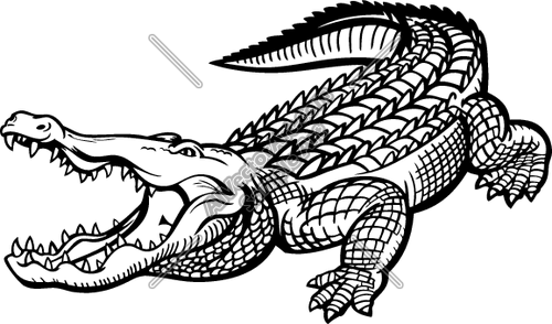 500x294 Gator09v4bw Clipart And Vectorart Animals