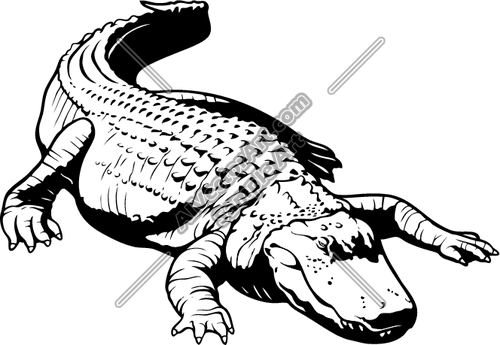 500x345 Alligator Laying Docile Clipart And Vectorart Animals