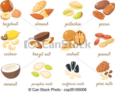 450x359 Cartoon Nuts Set