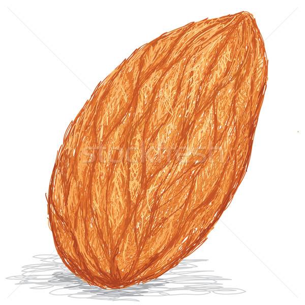 600x600 Almond Vector Illustration Jomar Aplaon (Jomaplaon) ( 2628385