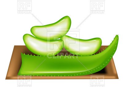 400x283 Aloe Vera Vector Image Vector Artwork Of Plants And Animals