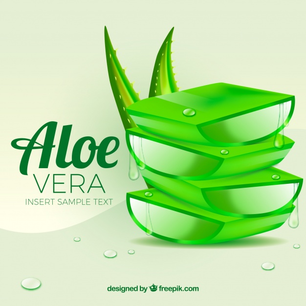 626x626 Aloe Vera Background Vector Free Download