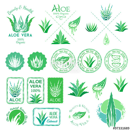 500x500 Aloe Vera Design Elements. Logos, Badges, Icons And Emblems