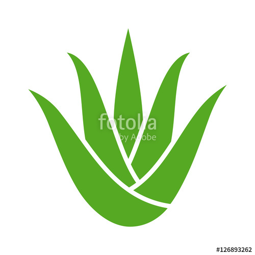 500x500 Green Aloe Vera Plant With Leaves Flat Color Icon For Apps And