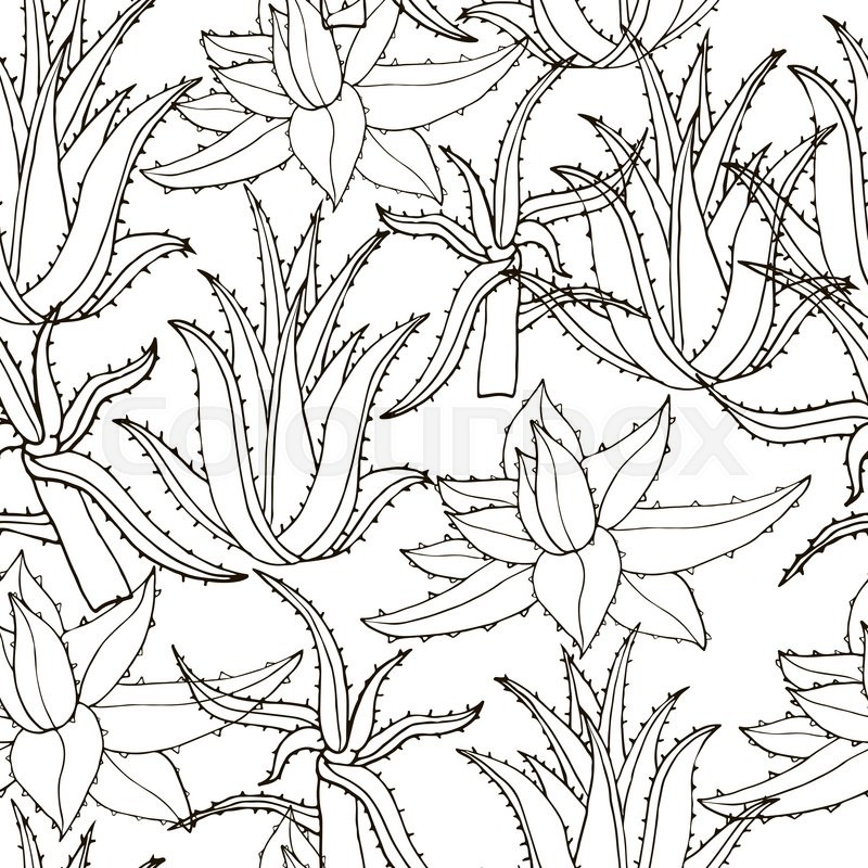 800x800 Seamless Vector Pattern With Aloe Vera. Creative Hand Drawn