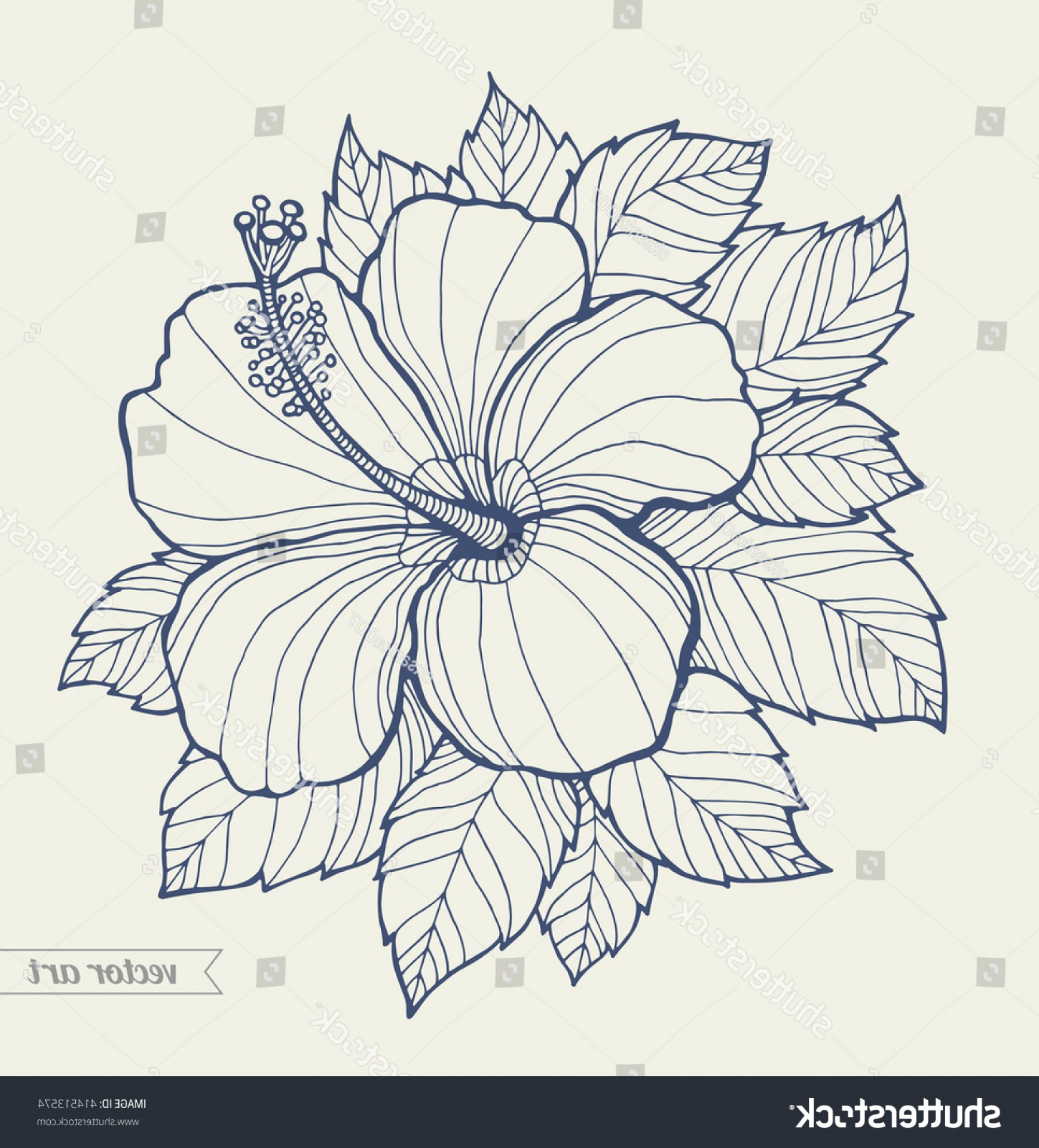 1738x1920 Hawaii Hibiscus Flower Leaf Aloha Vector Orangiausa