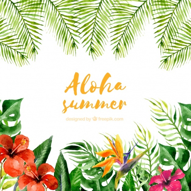 626x626 Aloha Vectors, Photos And Psd Files Free Download