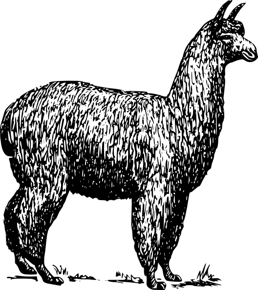 528x594 Alpaca Clip Art Free Vector 4vector
