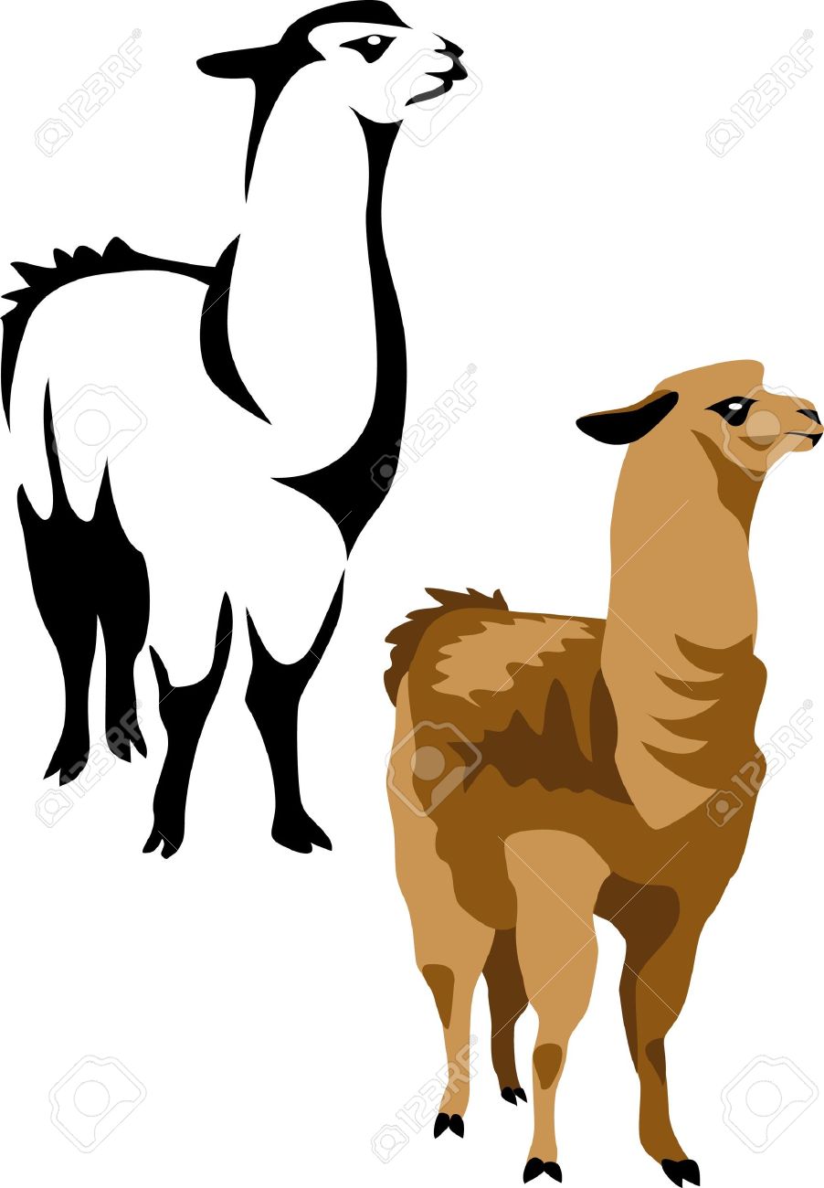 902x1300 Alpaca Clipart Vector ~ Frames ~ Illustrations ~ Hd Images ~ Photo