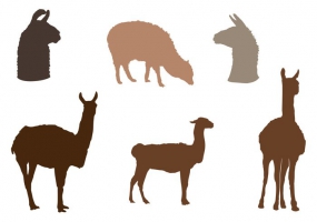 285x200 Alpaca Free Vector Graphic Art Free Download (Found 37 Files) Ai
