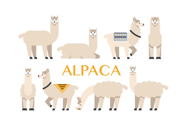 700x490 Alpaca Vector Icons