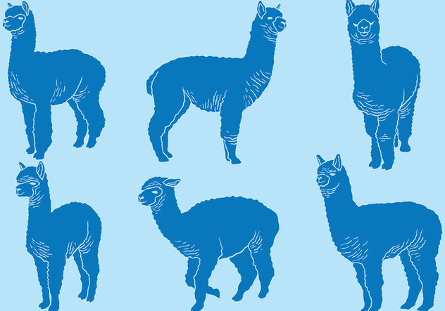 632x443 Free Alpaca Icons Vector Free Vector Download 403031 Cannypic