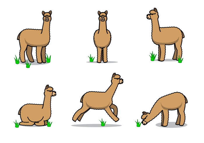 700x490 Free Alpaca Vector