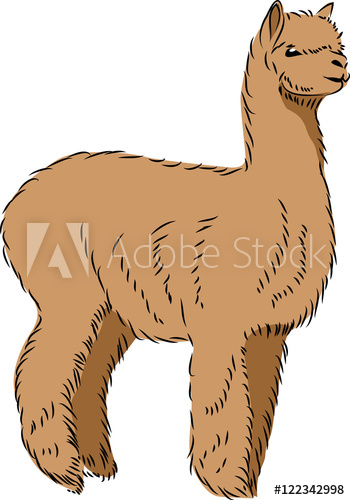 350x500 Llama Alpaca